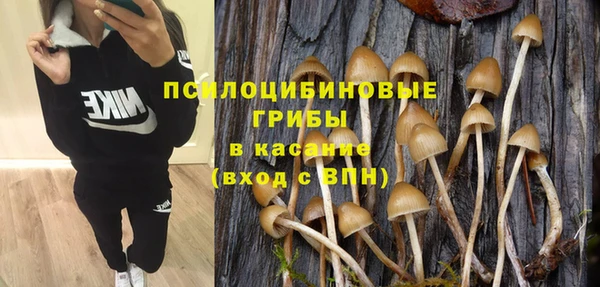 СК Магадан