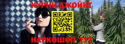 сатива Будённовск