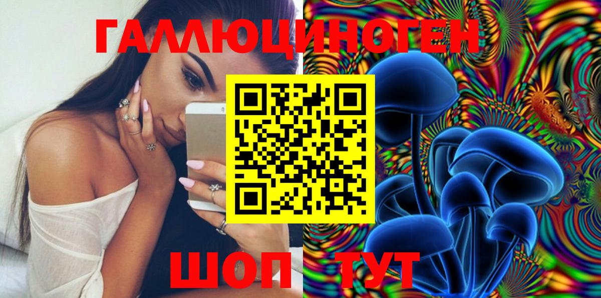 закладка  Псилоцибиновые грибы прущие грибы  Димитровград  Галлюциногенные грибы прущие грибы 